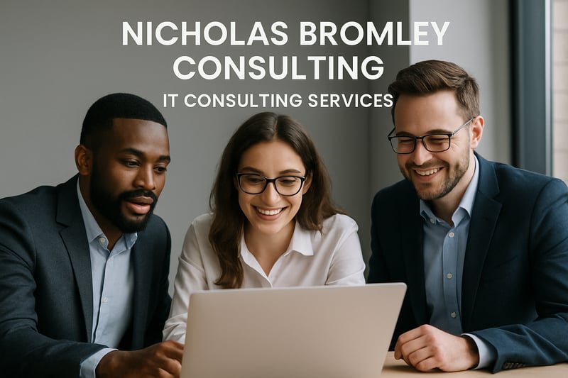 Nicholas Bromley Consulting team providing IT consulting services